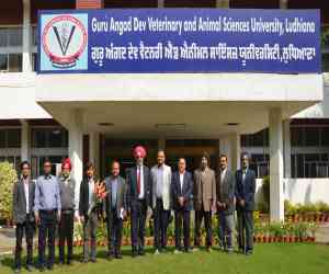 Guru Angad Dev Veterinary & Animal Sciences University