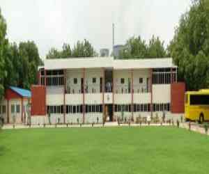 Central University of Gujarat