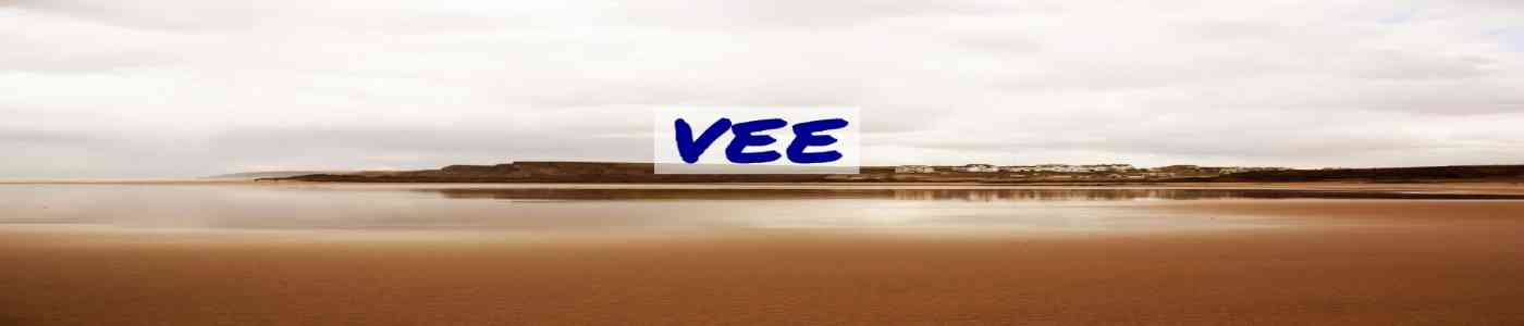 VEE 2026