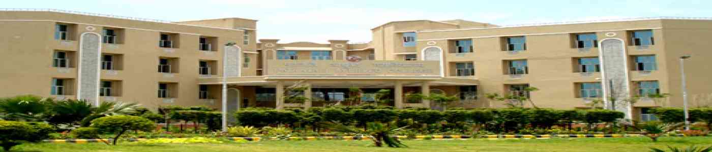 Patanjali University