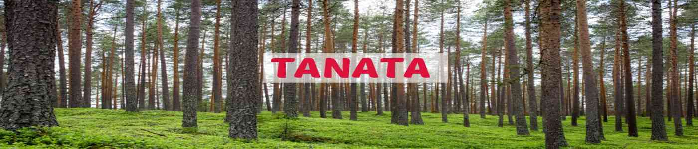 TANATA 2026