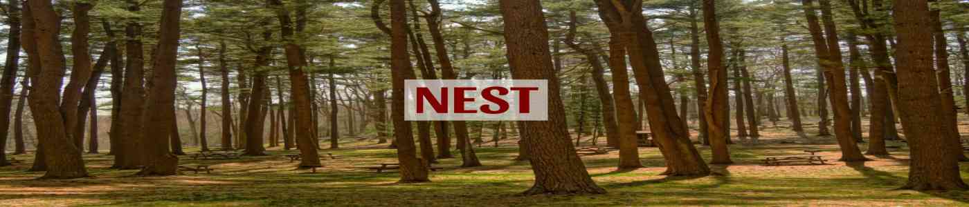 NEST 2026