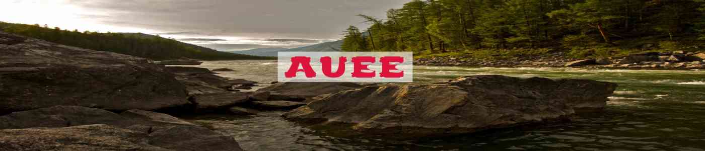 AUEE 2026
