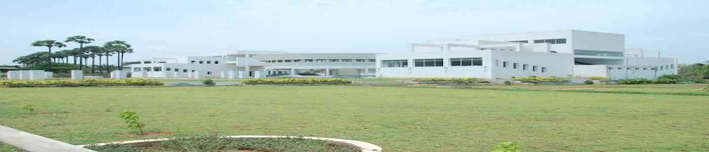 (SAA) SAN Academy of Architecture