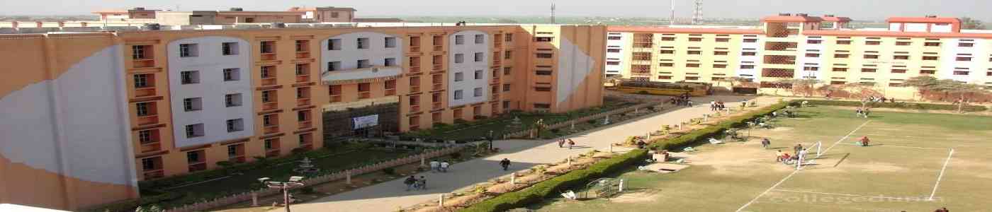 Lingaya&rsquo;s University
