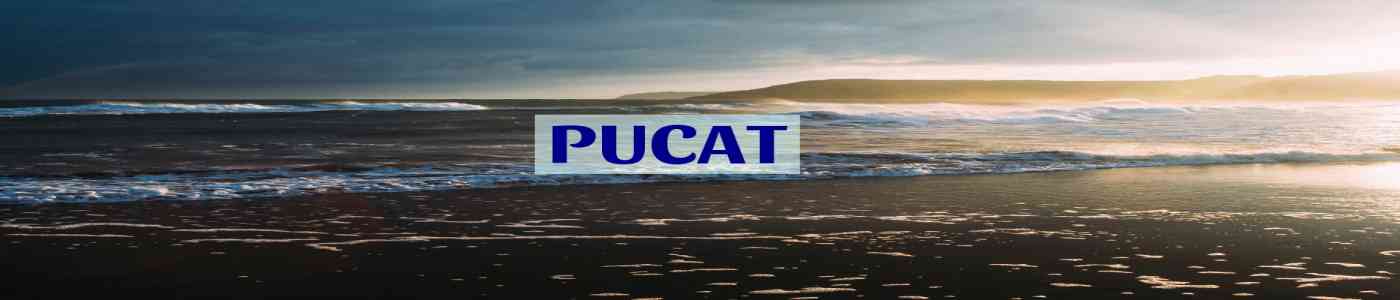 PUCAT 2026