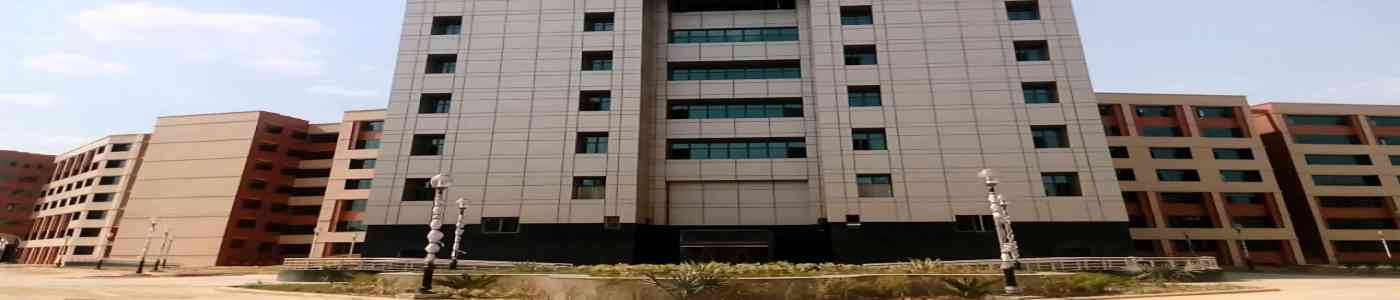 Deen Dayal Upadhyaya College