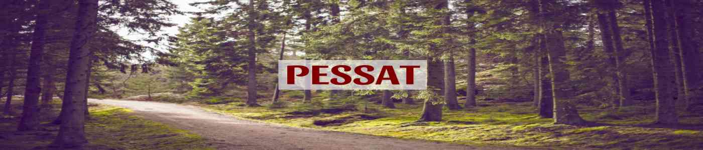 PESSAT 2026