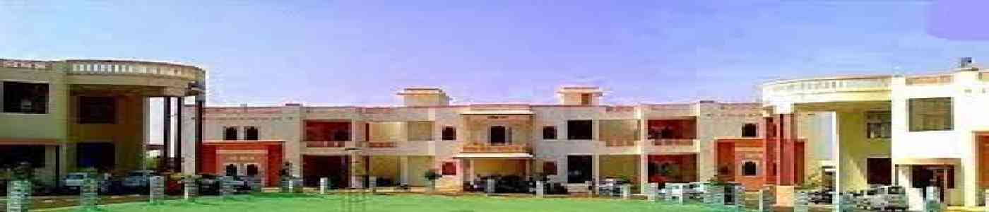 (IPS) IPS Business School 