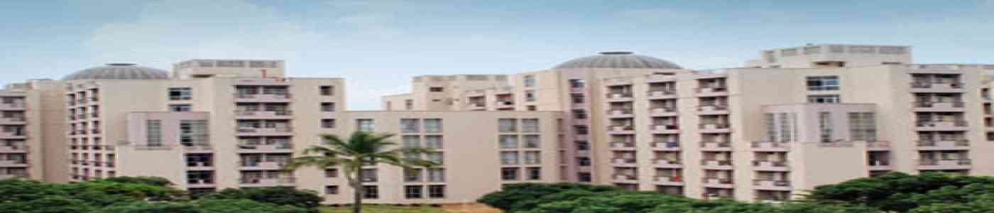ICFAI Business School - IBS Gurgaon