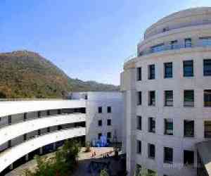(WWI) Whistling Woods International 