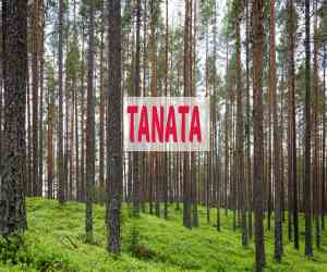 TANATA 2026