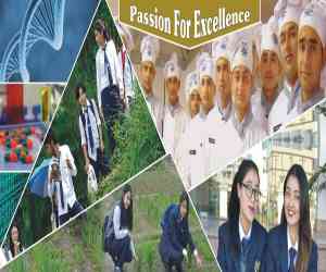 (AIMT) Alpine Institute of Management & Technology