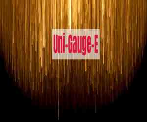Uni-Gauge-E 2026