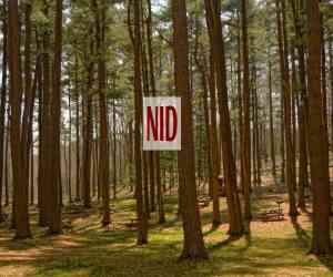 NID 2026