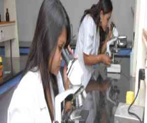 (DSCASC) Dayananda Sagar College of Art Science & Commerce