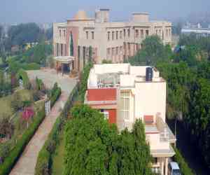 Singhania University
