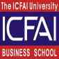 NICFAI Business School