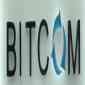 Bitcom Services Pvt. Ltd
