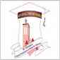 (GJCCASW) St. Georges Jayaraj Chelladurai College of Arts and Science for women 
