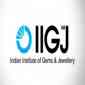 (IIGJ JAIPUR) Indian Institute of Gems & Jewellery