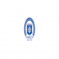  (SVCE) Sri Venkateswara College of Engineering Bangalore