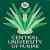 Central University of Punjab
