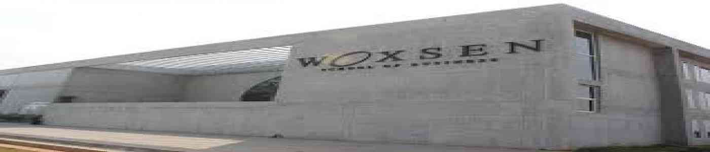 (WSB) Woxsen School of Business (WSB) Woxsen School of Business