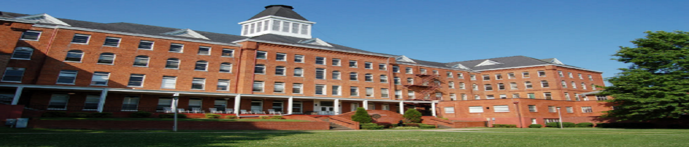 Techno Global University