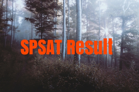 SPSAT Result