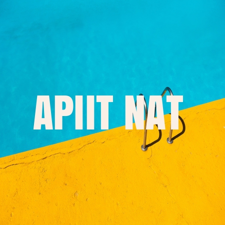 APIIT NAT